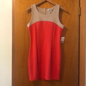 NWT! Really cute Forever 21 orange and tan dress!
